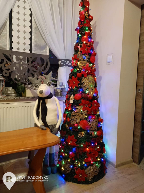 ROZSTRZYGNIĘCIE konkursu bożonarodzeniowego