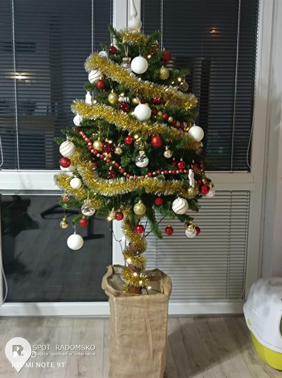 ROZSTRZYGNIĘCIE konkursu bożonarodzeniowego