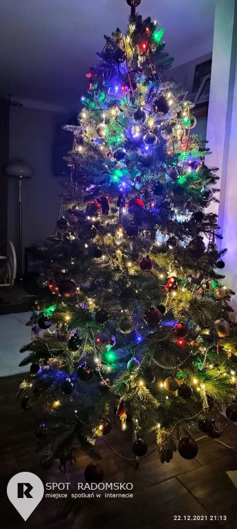 ROZSTRZYGNIĘCIE konkursu bożonarodzeniowego
