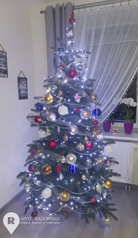 ROZSTRZYGNIĘCIE konkursu bożonarodzeniowego