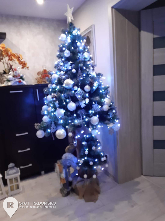 ROZSTRZYGNIĘCIE konkursu bożonarodzeniowego