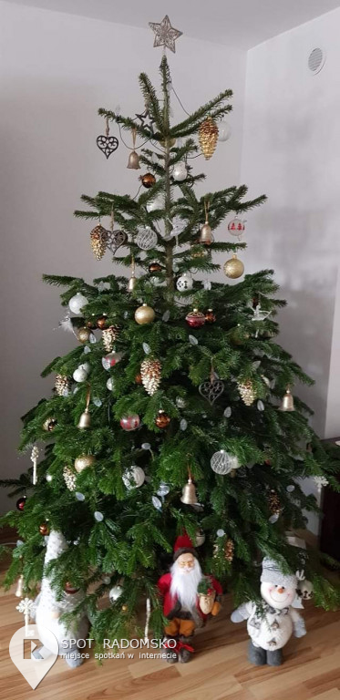 ROZSTRZYGNIĘCIE konkursu bożonarodzeniowego