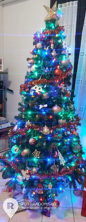 ROZSTRZYGNIĘCIE konkursu bożonarodzeniowego