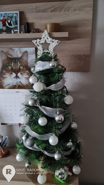 ROZSTRZYGNIĘCIE konkursu bożonarodzeniowego