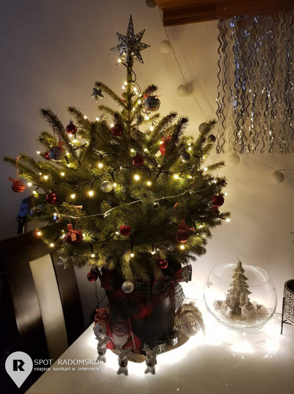 ROZSTRZYGNIĘCIE konkursu bożonarodzeniowego
