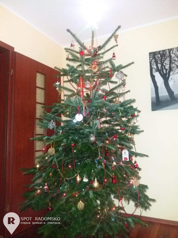 ROZSTRZYGNIĘCIE konkursu bożonarodzeniowego