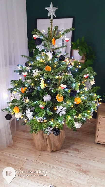 ROZSTRZYGNIĘCIE konkursu bożonarodzeniowego