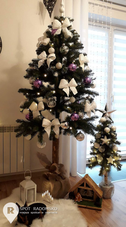 ROZSTRZYGNIĘCIE konkursu bożonarodzeniowego
