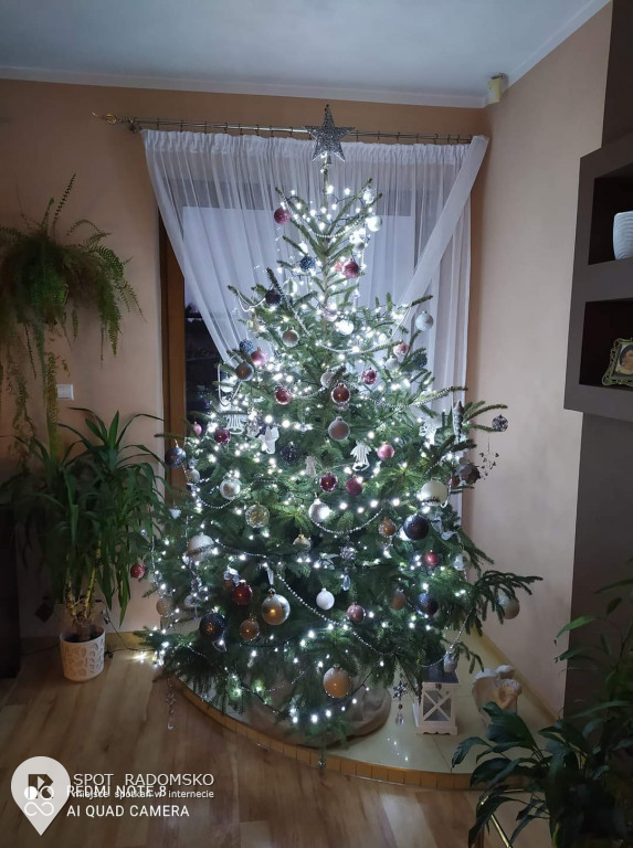 ROZSTRZYGNIĘCIE konkursu bożonarodzeniowego