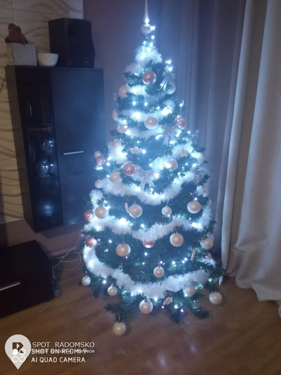 ROZSTRZYGNIĘCIE konkursu bożonarodzeniowego