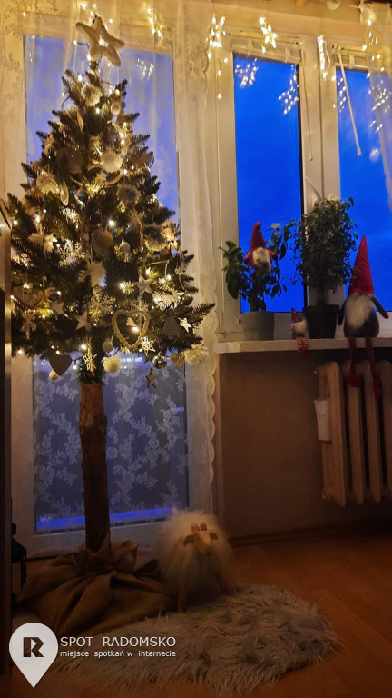 ROZSTRZYGNIĘCIE konkursu bożonarodzeniowego