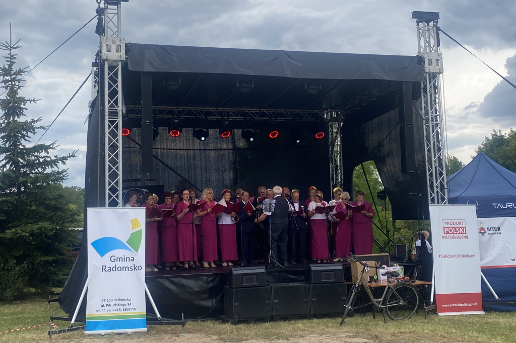 Piknik rodzinny w Strzałkowie pod Radomskiem