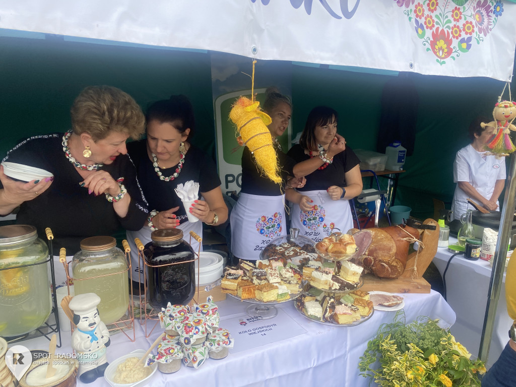 Piknik rodzinny w Strzałkowie pod Radomskiem