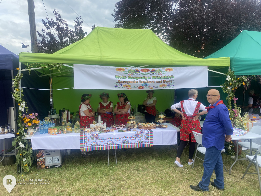 Piknik rodzinny w Strzałkowie pod Radomskiem