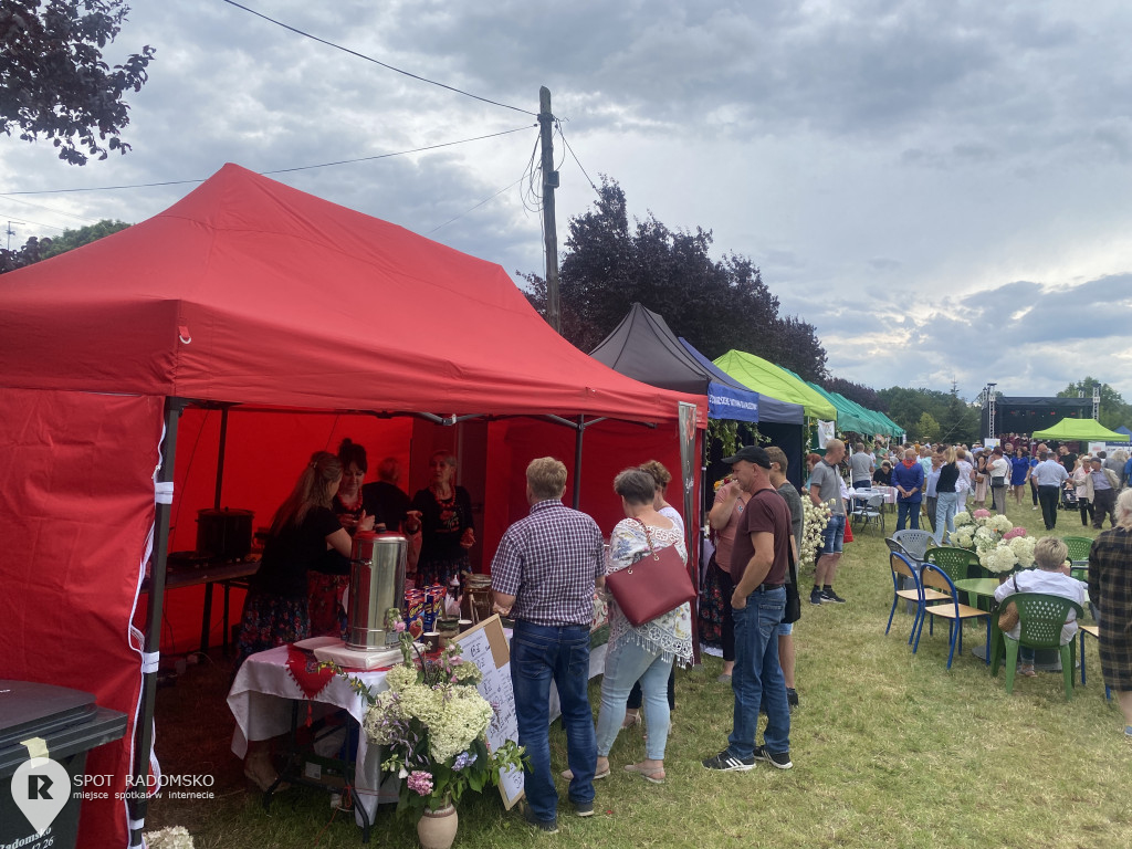 Piknik rodzinny w Strzałkowie pod Radomskiem