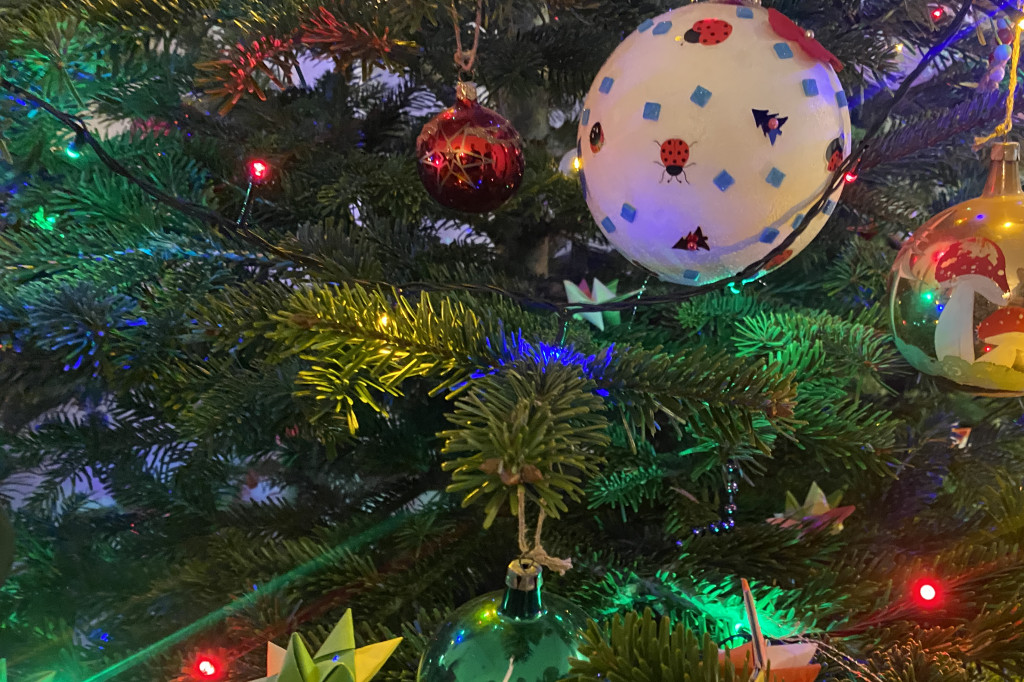 ?Świąteczne choinki - rozstrzygnięcie konkursu
