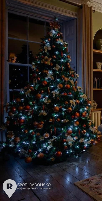 ?Świąteczne choinki - rozstrzygnięcie konkursu