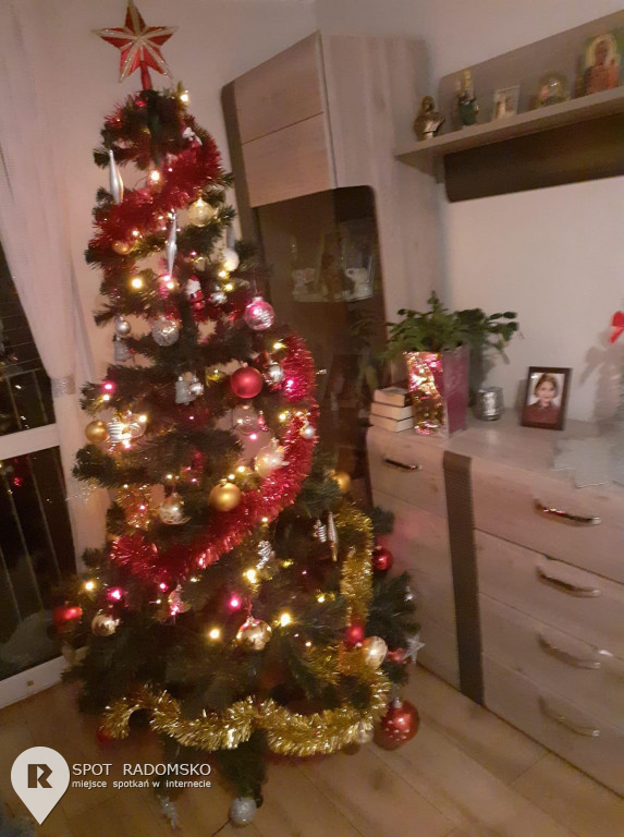 ?Świąteczne choinki - rozstrzygnięcie konkursu
