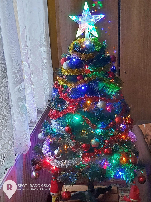 ?Świąteczne choinki - rozstrzygnięcie konkursu