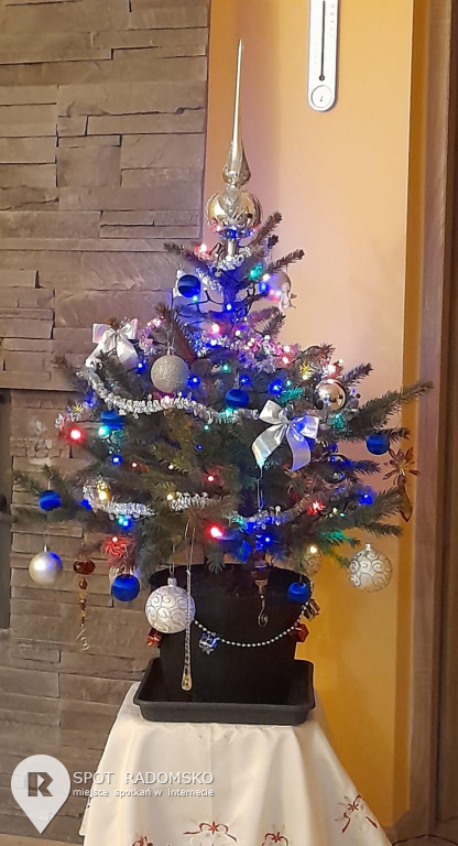 ?Świąteczne choinki - rozstrzygnięcie konkursu