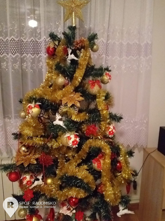 ?Świąteczne choinki - rozstrzygnięcie konkursu