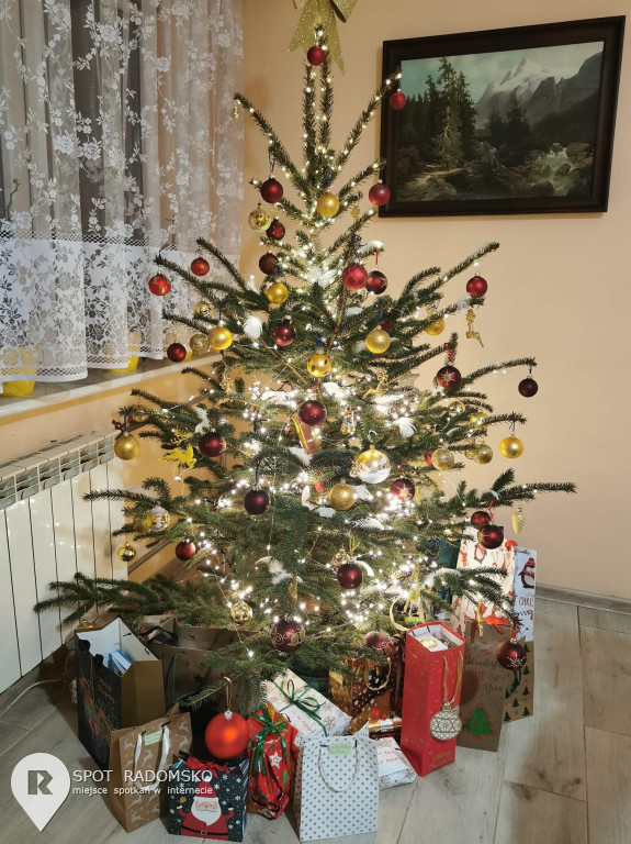 ?Świąteczne choinki - rozstrzygnięcie konkursu
