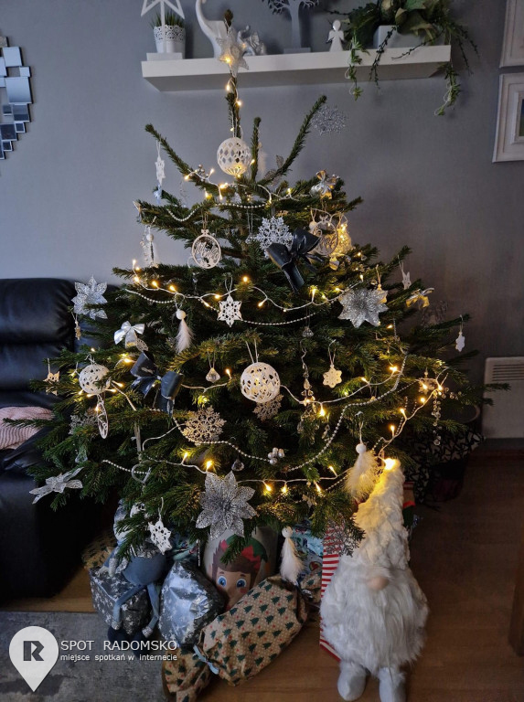 ?Świąteczne choinki - rozstrzygnięcie konkursu