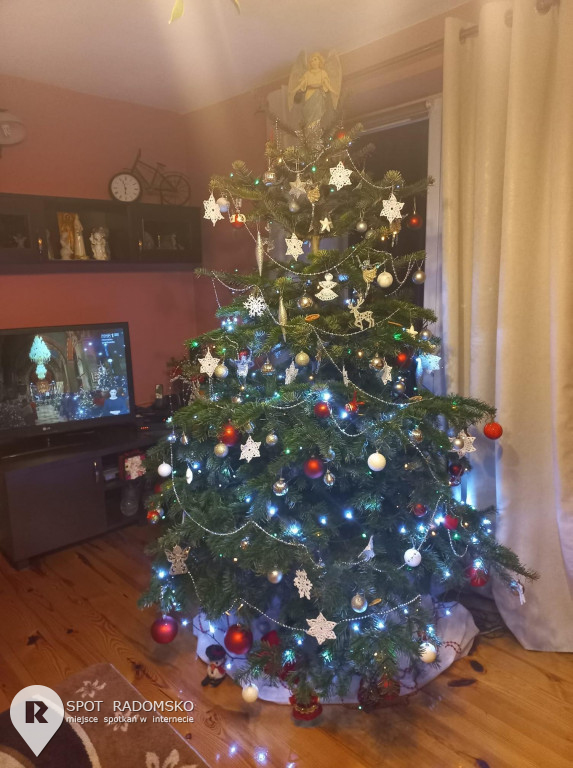 ?Świąteczne choinki - rozstrzygnięcie konkursu
