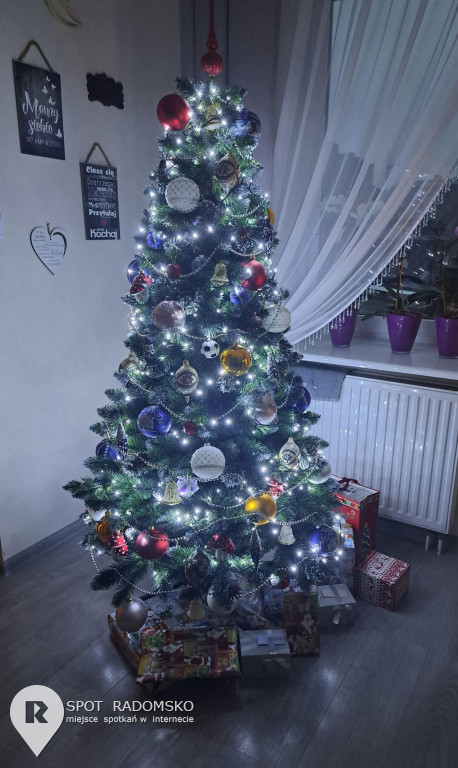 ?Świąteczne choinki - rozstrzygnięcie konkursu