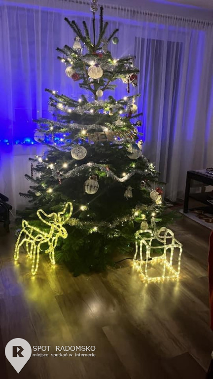 ?Świąteczne choinki - rozstrzygnięcie konkursu