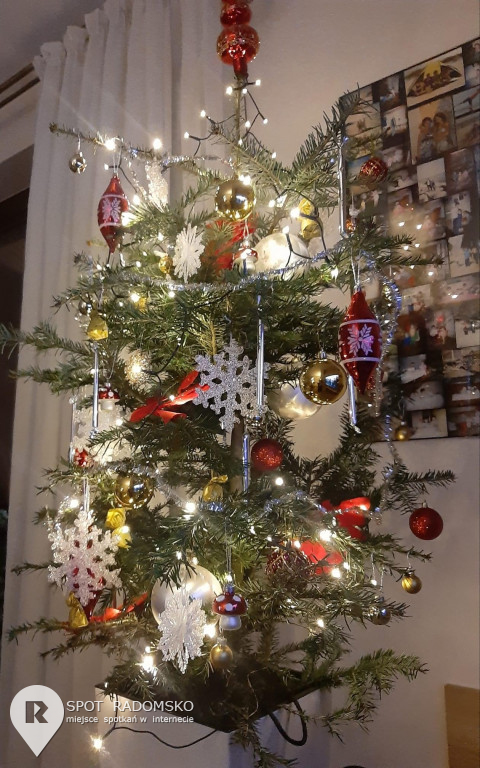 ?Świąteczne choinki - rozstrzygnięcie konkursu