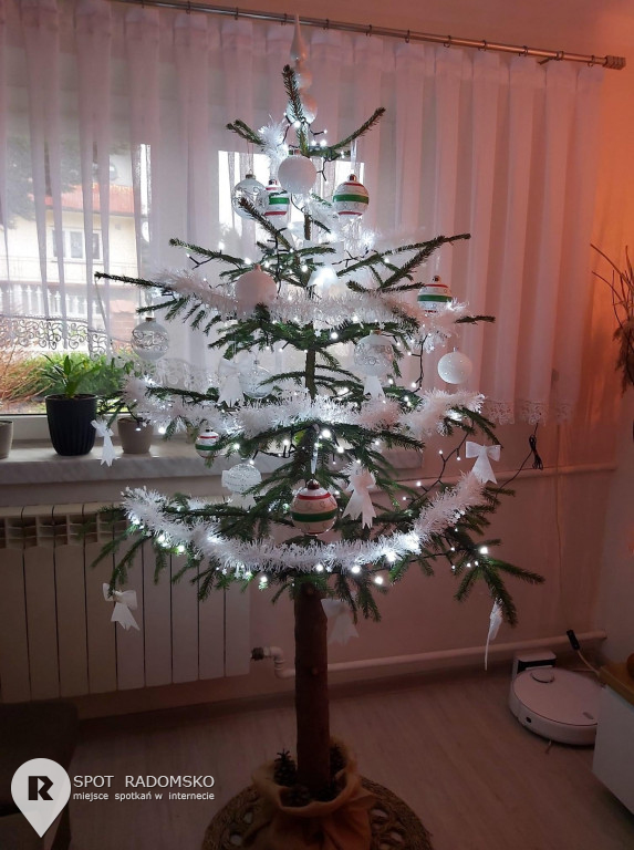 ?Świąteczne choinki - rozstrzygnięcie konkursu