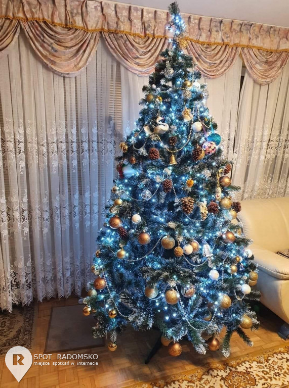 ?Świąteczne choinki - rozstrzygnięcie konkursu