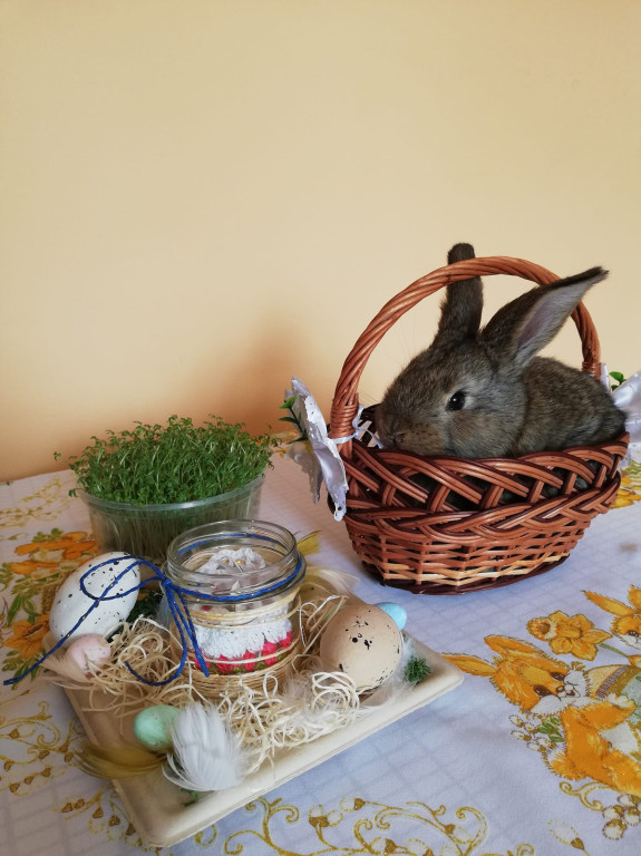 Wielkanocne koszyczki radomszczan - Wasze zdjęcia