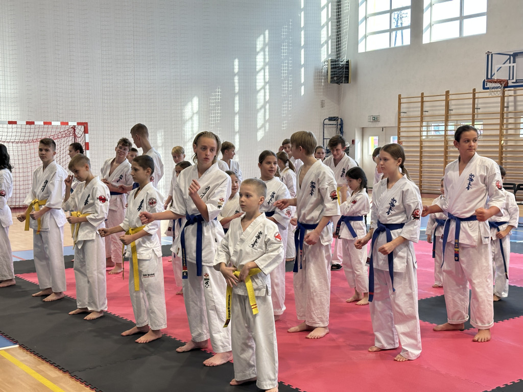 V Turniej karate Randori Cup 2024 w Radomsku