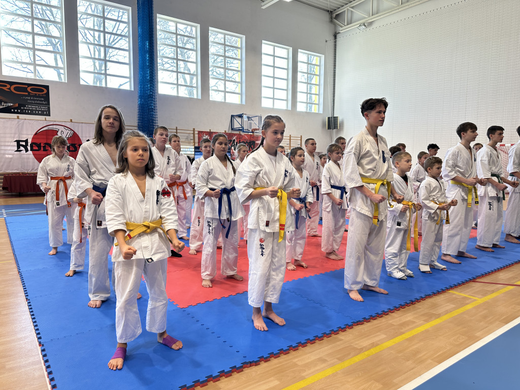 V Turniej karate Randori Cup 2024 w Radomsku