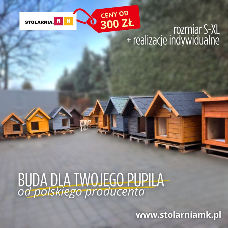 Stolarnia MK: oferta produktów małej architektury