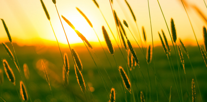 Radomsko: co przyniesie pierwszy tydzień lipca? //spotradomsko.pl