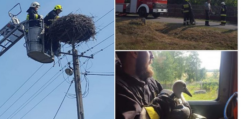 fot: Osp Ksrg Przedbórz // spotradomsko.pl