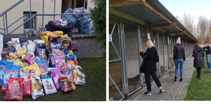 fot: Schronisko dla bezdomnych zwierząt w Radomsku