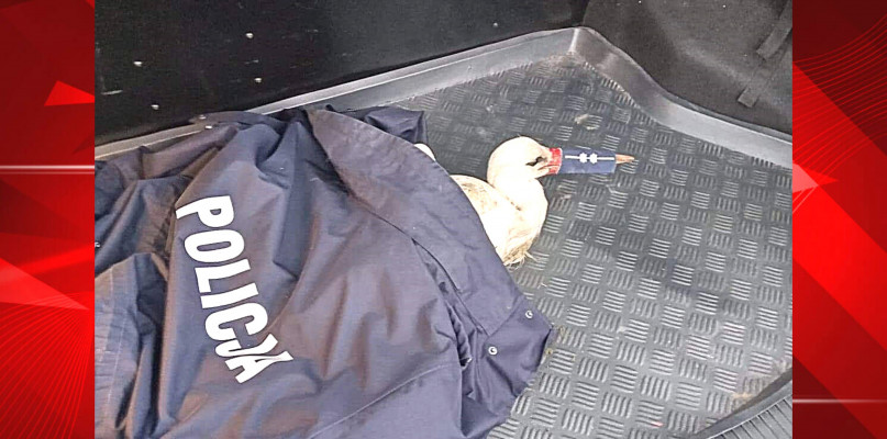 Fot: Łódzka Policja