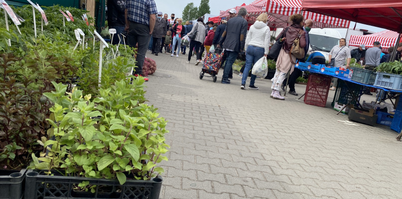 Targowisko przy Targowej w Radomsku