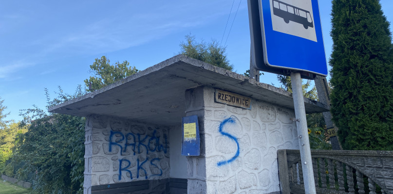 fot: przystanek na DK42 w Rzejowicach /SpotRadomsko.pl