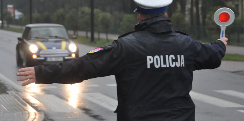 Zdjęcie ilustracyjne. Fot. Anna Bielica / FotoSiecPortali.pl