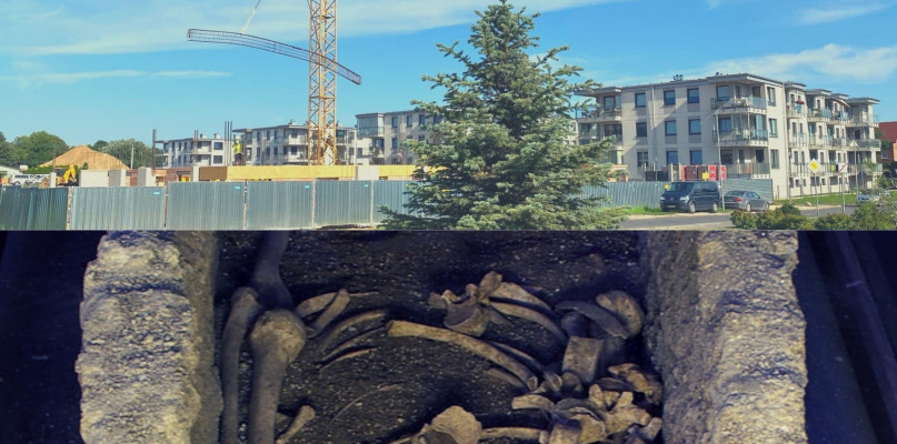 fot: Kolejne ludzkie kości wykopane na Osiedle Łokietka w Radomsku