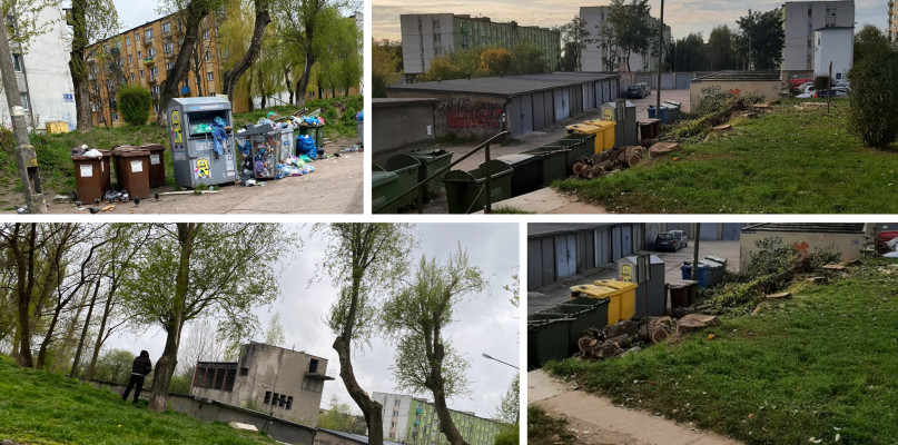 fot: budowa zadaszonego gniazda śmietnikowego wymusiła pośrednio wycinkę drzew przy blokach na Piastowskiej w Radomsku?