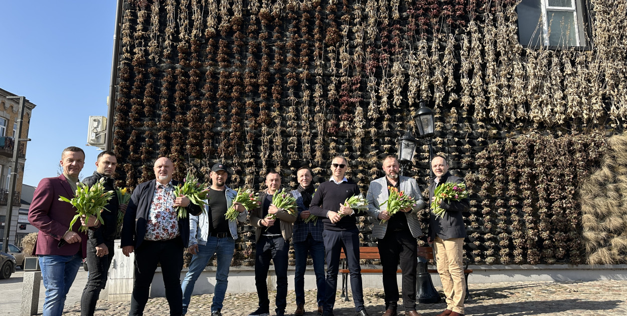 fot: jak co roku 8 marca na ulicach Radomska można spotkać mężczyzn z KO rozdających tulipany