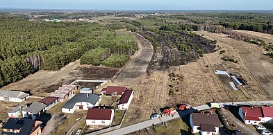 Siedem zastępów straży pożarnej walczyło z ogniem pod Przedborzem -21769