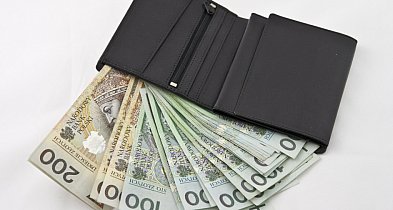 Raport: co drugi Polak dobrze ocenia swoją sytuację finansową-22965