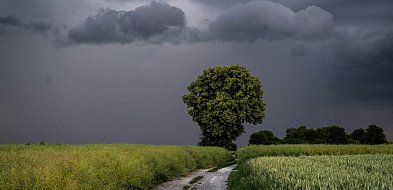 Alert RCB i ostrzeżenia IMGW I i II stopnia dla całego kraju przed burzami i silny-23270